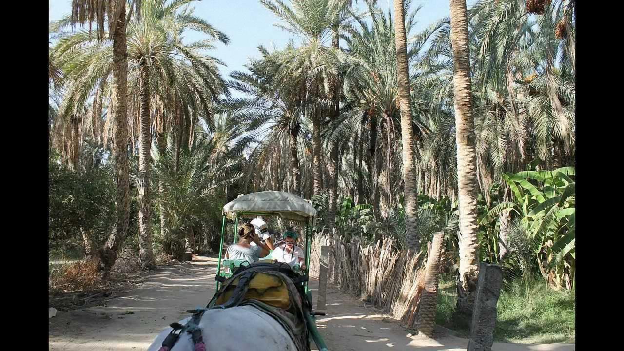 Villa Dar Ezzahra Tozeur Exterior foto